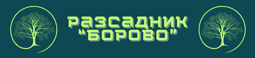 Разсадник “БОРОВО” - проект на DigitaL+
